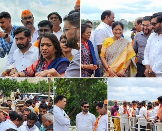 Inspecting Ganesh immersion arrangements